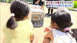 ダンボール窯でピザ作り　保育園児「すごくおいしかった」　青森県八戸市　|　青森のニュース│ATV NEWS│青森テレビ