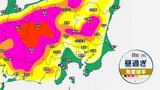 【東京など関東地方】関東のほとんどの地域に雷注意報 天気の急変に注意 空が暗くなってきたら早めに避難を【今後の発雷確率シミュレーション】東京・神奈川・埼玉・千葉・群馬・栃木・茨城の天気|TBS NEWS DIG