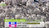 サクラの開花予想・青森市は4月14日で史上2番目の早咲き予想 弘前公園も4月14日|TBS NEWS DIG