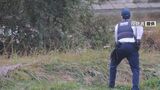 「撃つぞ」警察官が拳銃を構える事態 名古屋市内でイノシシの目撃情報相次ぐ | 名古屋・愛知・岐阜・三重のニュース【CBC news】 | CBC web