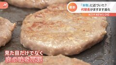 “本物の味”に近づいた？ 進化続ける「代替食」 注目は…“代替魚” 食糧不足の懸念の中で市場拡大| TBS CROSS DIG with Bloomberg