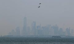 ニューヨーク市の大気汚染、山火事の煙で悪化－猛暑が米電力網圧迫| TBS CROSS DIG with Bloomberg