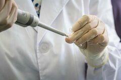 AI株から中国バイオ銘柄に関心シフト－新興国市場の成長テーマで| TBS CROSS DIG with Bloomberg