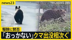 相次ぐクマ出没！今年度すでに全国55人が被害　“おっかない”住民からは不安の声…クマの駆除「賛成」or「反対」 そして人間との共存は？【news23】| TBS CROSS DIG with Bloomberg