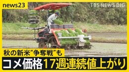 コメ価格17週連続値上がりで街からは嘆きの声　秋の新米“争奪戦”も…今後の価格、秋の新米価格を専門家4人が分析【news23】|TBS NEWS DIG