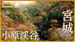 湯治場のある渓谷の紅葉【JNN 紅葉ドローンDIG】|TBS NEWS DIG