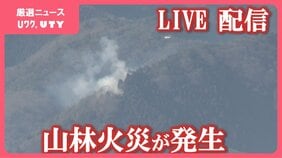 【速報・LIVE映像あり】山林火災が発生 山梨・上野原市の扇山|TBS NEWS DIG
