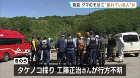 クマのそばに倒れている“人らしき姿”　タケノコ採りに入った行方不明者捜している際に見つかる　青森・八甲田山系|TBS NEWS DIG