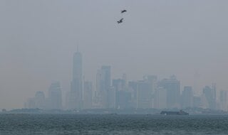 ニューヨーク市の大気汚染、山火事の煙で悪化－猛暑が米電力網圧迫| TBS CROSS DIG with Bloomberg