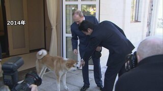 ロシア・プーチン大統領に贈られた秋田犬「ゆめ」が去年、老衰のため天国へ　ロシア大統領府| TBS CROSS DIG with Bloomberg