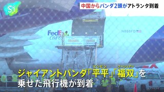 パンダ2頭が米アトランタに到着　「帰ってきてくれて嬉しい」動物園前にファンも| TBS CROSS DIG with Bloomberg