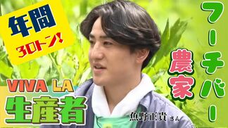 経験ゼロから年間30トン! 高栄養価、効能&多用途な万能ハーブ「フーチバー」にかける沖縄移住農家・魚野正貴さん | 沖縄のニュース|RBC 琉球放送