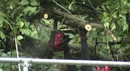 JR中央西線 南木曽駅～上松駅間 倒木の影響で運転見合わせ続く | SBC