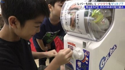 運が良ければ500円で9000円相当のマツタケGET！その名も「松茸ガチャ