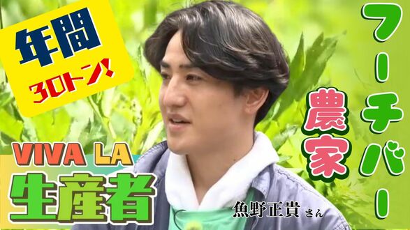 経験ゼロから年間30トン！  高栄養価、効能＆多用途な万能ハーブ「フーチバー」にかける沖縄移住農家・魚野正貴さん　|　沖縄のニュース｜RBC 琉球放送