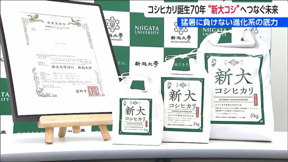 コシヒカリ誕生から70年 ”次世代”へつなぐ未来 岐路に立つ『新潟の米作り』の明日は? | 新潟のニュース・天気|BSN NEWS|BSN新潟放送