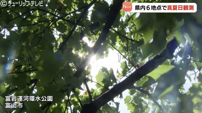 県内6地点で真夏日　秋ヶ島で31.3℃　30日は富山・高岡市伏木ともに34℃予想　熱中症に注意|TBS NEWS DIG