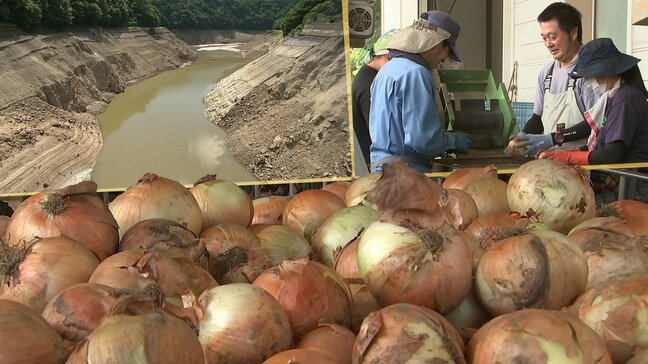 水不足でタマネギの収量に影響が・・・2025年産タマネギのサイズは?おコメの収量はどうなる?水がめであるダムの様子は? |TBS NEWS DIG