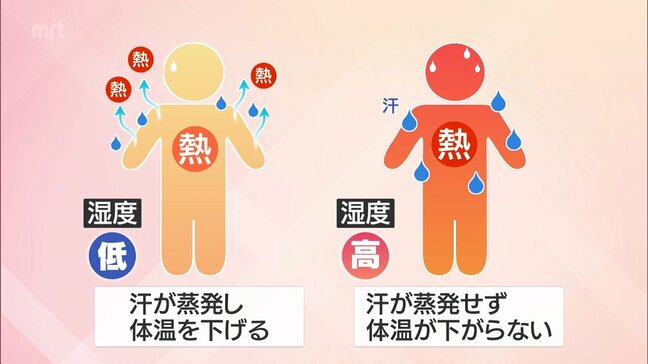 日ざしの少ない梅雨ですが・・・高まる熱中症のリスクにご用心 医師に聞く原因と対策|TBS NEWS DIG