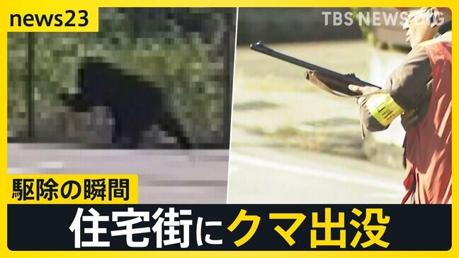 「一直線に突進するように、まさかここまで」盛岡の官庁街にクマ出没で騒然　富山では小学校近くにクマが…駆除の瞬間【news23】|TBS NEWS DIG