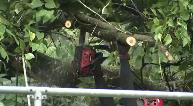 JR中央西線 南木曽駅~上松駅間 倒木の影響で運転見合わせ続く|TBS NEWS DIG