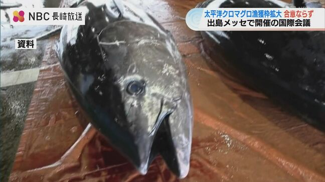 クロマグロ「25%漁獲枠拡大」は不成立　長崎周辺で大量発生も、漁獲制限緩和は実現せず【国際会議閉幕】|TBS NEWS DIG