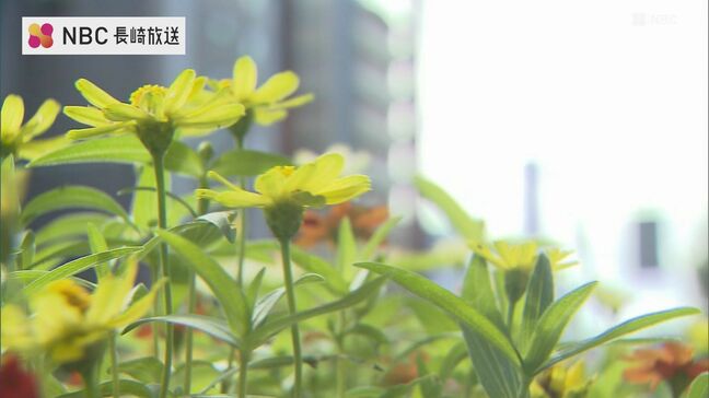 佐世保 高1同級生殺害事件から11年  児童相談所 事件の教訓を継承|TBS NEWS DIG