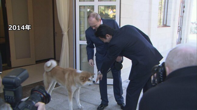 ロシア・プーチン大統領に贈られた秋田犬「ゆめ」が去年、老衰のため天国へ ロシア大統領府|TBS NEWS DIG