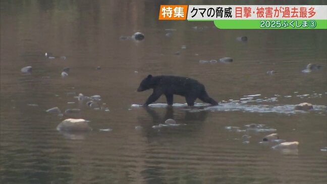「冬眠しないクマはいない」ただし、住宅近くにいることも…遭遇したら、襲われたら?【2025ふくしま③】|TBS NEWS DIG