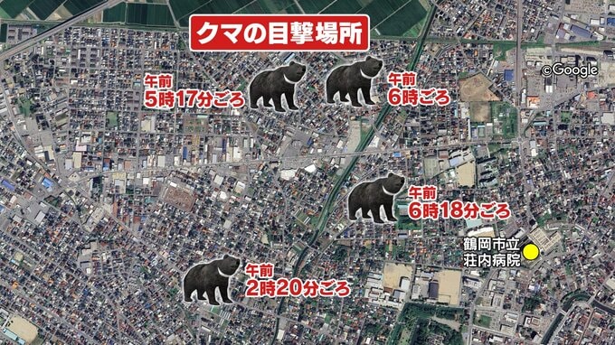 目撃場所付近を画像で　鶴岡市のクマは中心市街地を転々としているか　茂みなどに注意を（山形）|TBS NEWS DIG