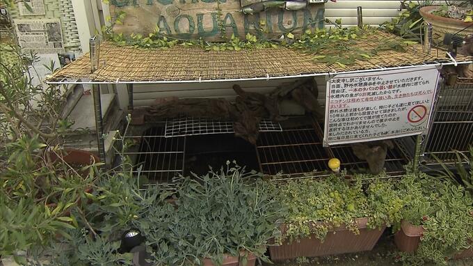 水族館で展示の魚50匹が相次いで死ぬ…水槽から見つかった『1本のタバコの吸い殻』屋外展示できなくなる事態に館長が嘆き|TBS NEWS DIG