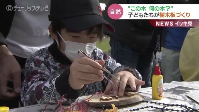 ＹＫＫふるさとの森を活用して環境学習|TBS NEWS DIG