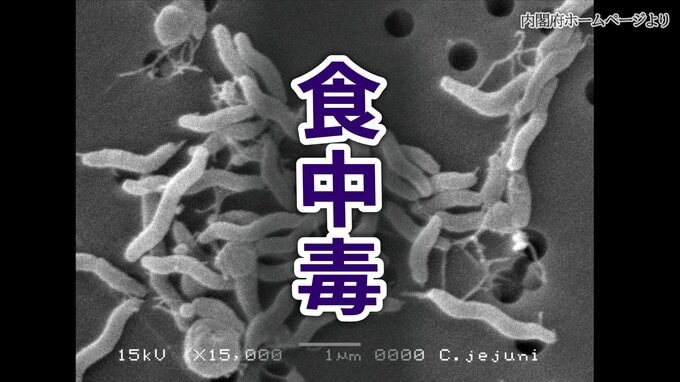 三原市の居酒屋で20人が食中毒　カンピロバクター検出　広島　|　RCC NEWS | 広島ニュース | RCC中国放送