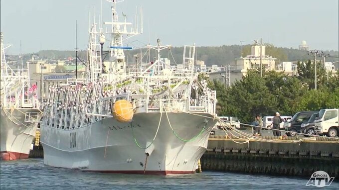 「荷揚げ中に大きい地震がくると最悪」後発地震注意情報が発表で特に警戒強める漁業者　水産業界の中核となる魚市場の「避難マニュアル」作成へ　犠牲者を出さないために　業界が一体となって避難の体制づくり|TBS NEWS DIG