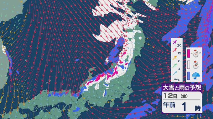 上空およそ1500メートルで北日本では－18度にも 12日(金)は強烈な寒気が到来し北陸から北の日本海側では大雪、荒れる天気のところも 雪・雨と風シミュレーション|TBS NEWS DIG