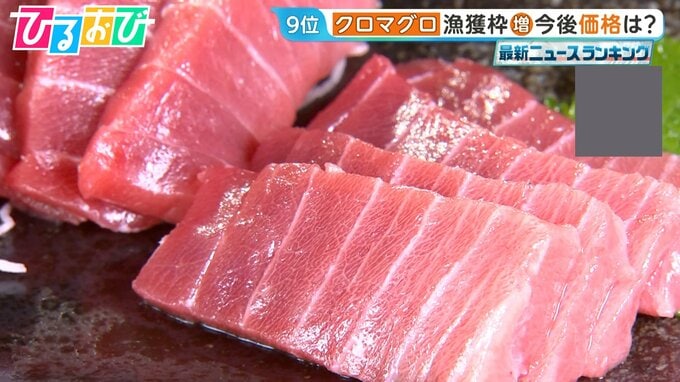 「クロマグロ」漁獲枠25％増で合意　今後価格はどうなる？【ひるおび】|TBS NEWS DIG