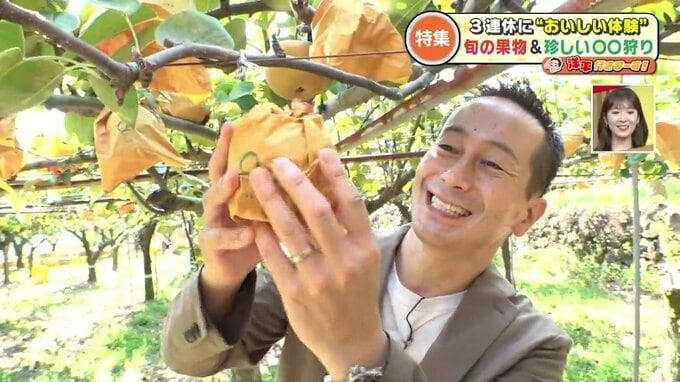 とれたては『甘い！』旬の「梨狩り」＆珍しい「ピーマン狩り」で3連休においしい体験を 　|　熊本のニュース｜RKK NEWS｜RKK熊本放送