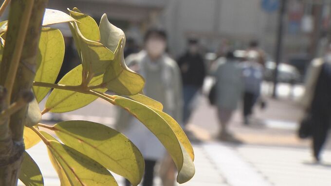 インフルエンザ患者数　大分県内で4週間ぶり増加　|　大分のニュース｜OBS NEWS｜大分放送