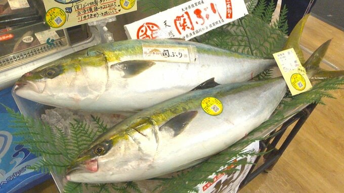 「関ぶり」九州7県で一斉販売　佐賀関大規模火災の復興支援へ　|　大分のニュース｜OBS NEWS｜大分放送