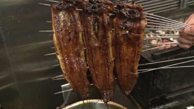 土用の丑の日 ウナギのかば焼き 物価高騰で値上げも不動の人気！　|　石川県のニュース｜MRO北陸放送