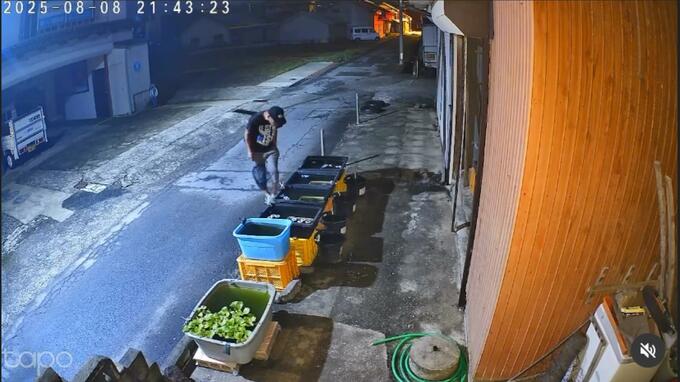 【メダカ泥棒】約200匹窃盗か　48歳露天商を逮捕　防犯カメラに網ですくう男の姿|TBS NEWS DIG