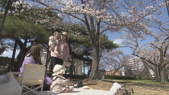 「ぽかぽかの中ごはんが食べられて楽しい」開成山公園のサクラが見頃　週末に満開予想　福島・郡山市　|　福島のニュース│TUF