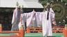 伊勢神宮で「秋の神楽祭」 天照大御神への感謝と国民の安寧を願う 雅びな舞楽を披露 24日まで開催　|　名古屋・愛知・岐阜・三重のニュース【CBC news】 | CBC web