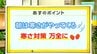 高知の天気　19日　青空広がるも日中でも気温上がらず　山岸拓気象予報士が解説　|　高知のニュース・天気｜KUTV NEWS | KUTVテレビ高知