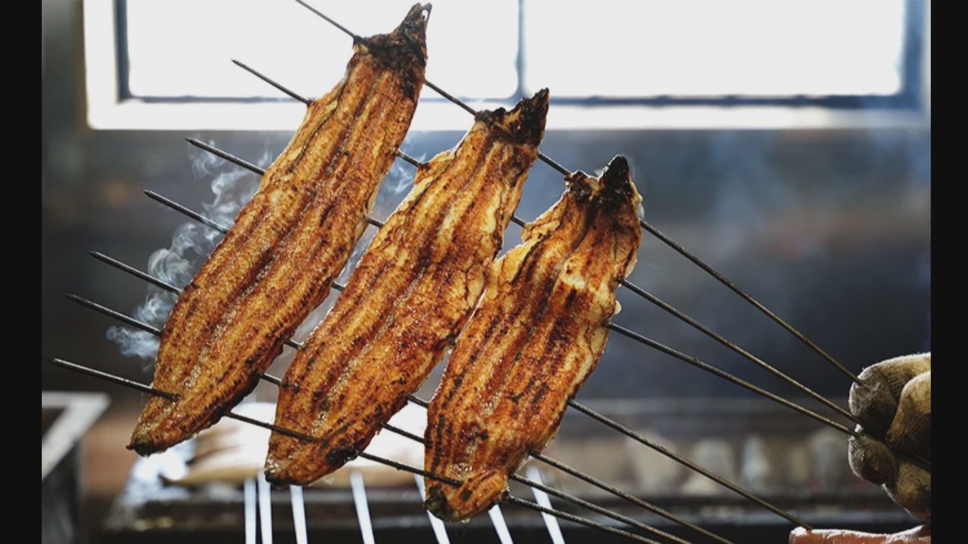 人気うなぎ店が産地偽装の疑い　中国産を三河産と偽って提供　男性店主（49）と運営会社を書類送検　愛知