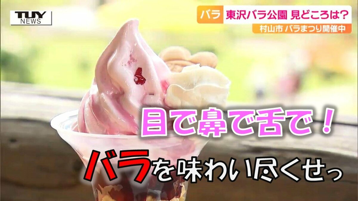 目・鼻・舌で満喫できるバラ！ツウは「ハチより速く動いて香りをかぐ