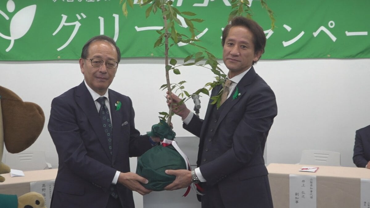 県内の緑化推進を　自動車ディーラーが県に77本の苗木を寄付　今後県内各地に植樹　山梨トヨペット