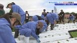 「腰が痛いのと、苗を植えるのにコツが必要で難しい」地元の名産、奥中山高原レタスの苗植えを中学生が体験　岩手・一戸町|TBS NEWS DIG