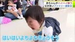 元気いっぱいの子もいれば泣き出す子も　「はいはいよちよちきょうそう」で会場は大盛り上がり！　「元気いっぱいに育って」八戸市で家族そろった運動会|TBS NEWS DIG