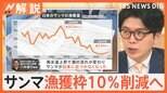 不漁続く「サンマ」漁獲枠を削減へ? サバ、イカ、サケなども漁獲量が減少 専門家「気候変動により…」【Nスタ解説】|TBS NEWS DIG